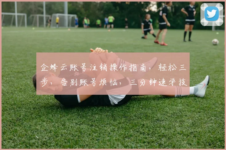企蜂云账号注销操作指南，轻松三步，告别账号烦恼，三分钟速学技巧分享