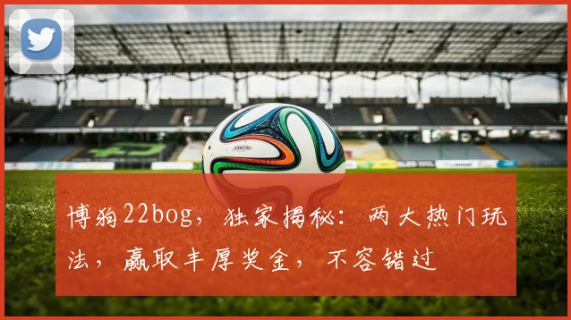 博狗22bog，独家揭秘：两大热门玩法，赢取丰厚奖金，不容错过