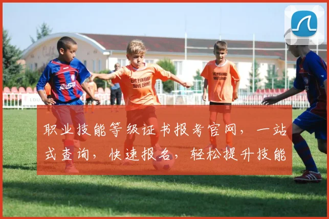 职业技能等级证书报考官网，一站式查询，快速报名，轻松提升技能，三步完成