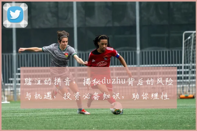 赌注的拼音，揭秘duzhu背后的风险与机遇，投资必备知识，助你理性博弈